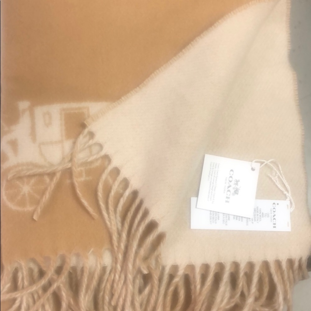 Coach Wool scarf